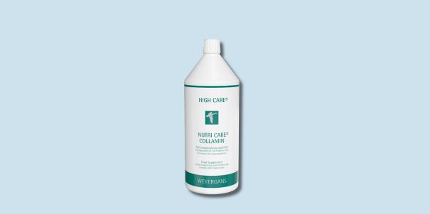 2. Nutri Care Collamin – Kollagenaufbau von innen